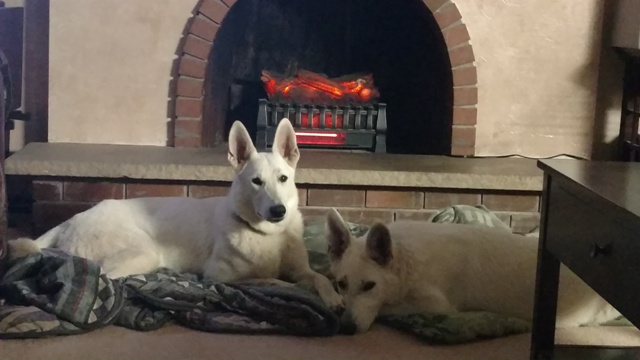 Leia, mom